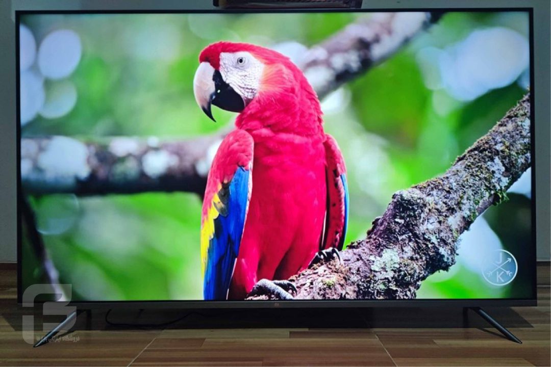 صفحه نمایش تلویزیون شیائومی q1e 55 اینچ